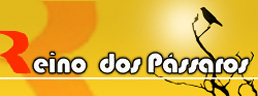 Reino dos Passaros - Foto 1